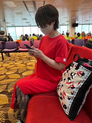 チャンギ国際空港でトランジット

手荷物検査のゲートは一瞬で通過して
搭乗...