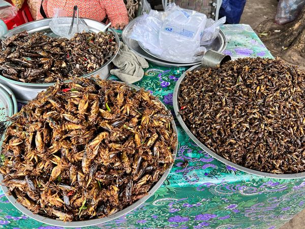 シンガポール「友人と行くカンボジア&シンガポール」の写真：遺跡巡りの帰り道のトイレ休憩で立ち寄った...