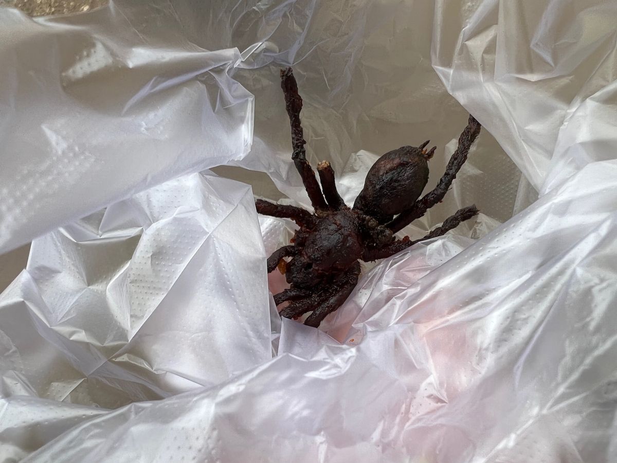 遺跡巡りの帰り道のトイレ休憩で立ち寄った
道の駅的なところに
カンボジア名...