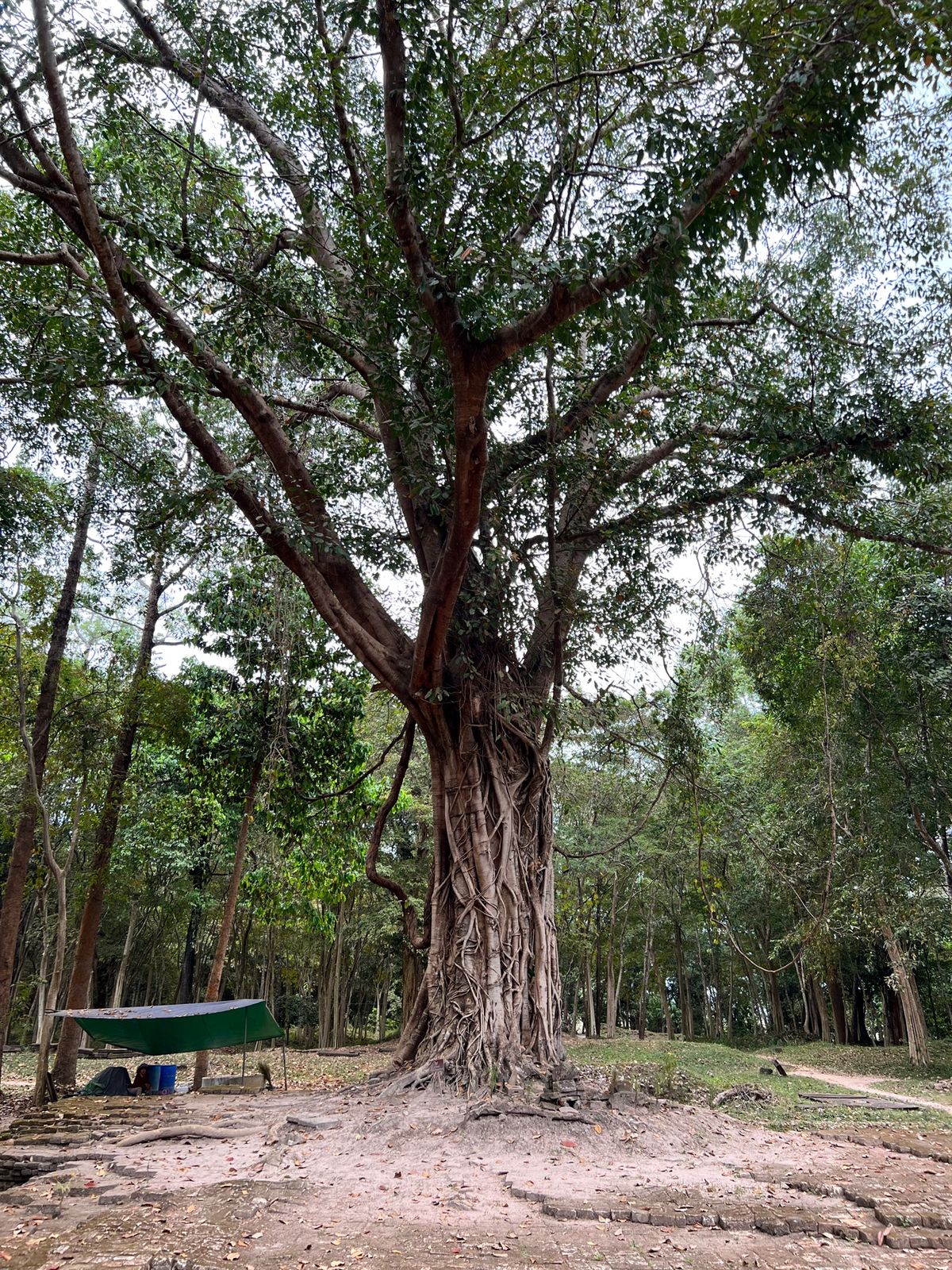 Prasat Sambor サンボープレイクック遺跡
Nゾーン

路上では...