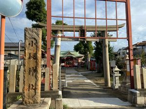 近所の散歩🚶‍♀️
