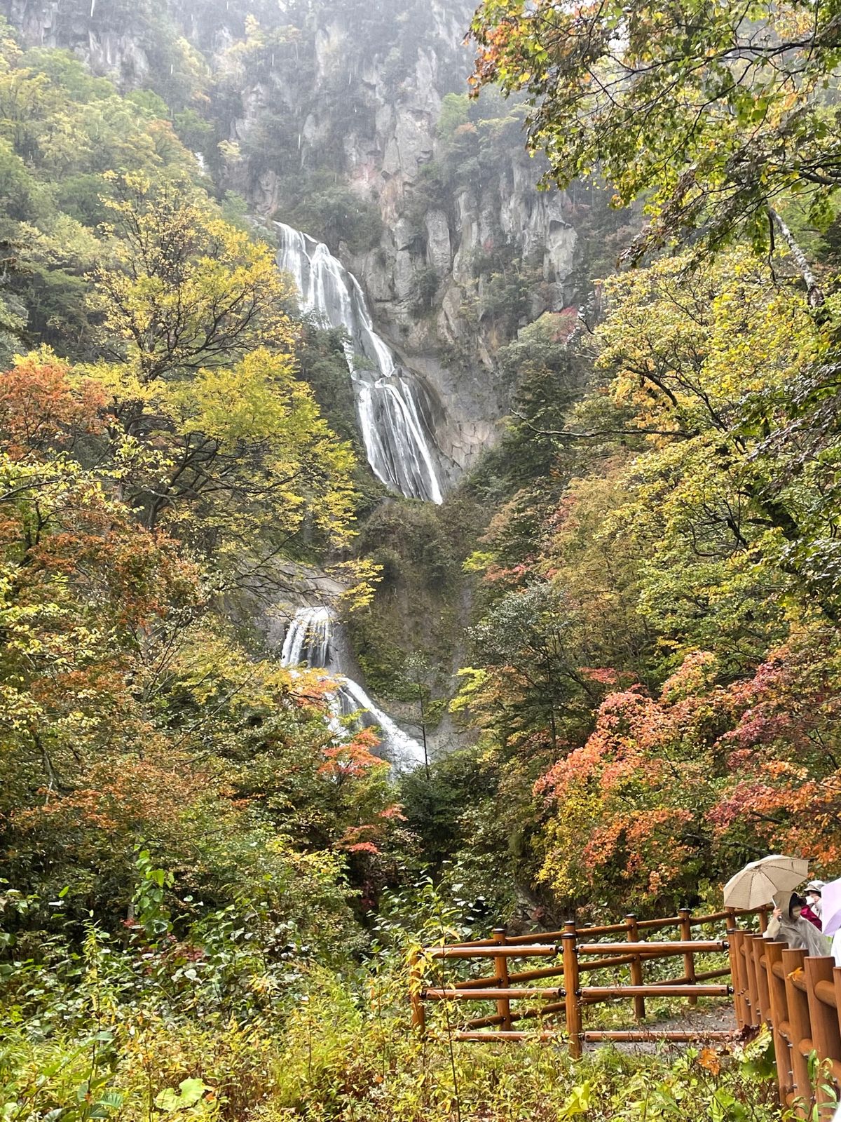 この日は雨☔️
旭岳のロープウェイが悪天候で止まり、急きょ、羽衣の滝へ。昔...