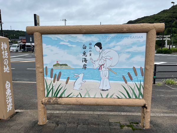 日本・鳥取県「ぶらり鳥取」の写真：因幡の白兎伝説で有名な白兎海岸。鮫の背を...