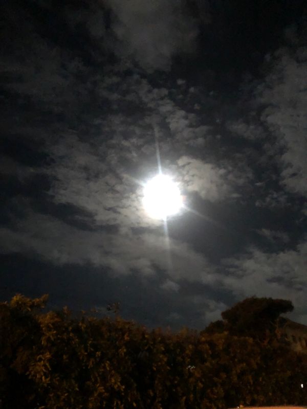 日本・千葉県「うーみー」の写真