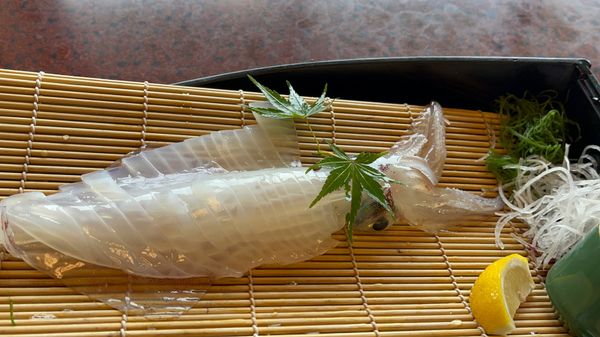 日本・佐賀「唐津・呼子」の写真