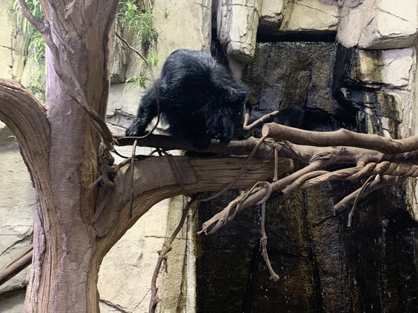 日本・栃木県「那須旅行」の写真