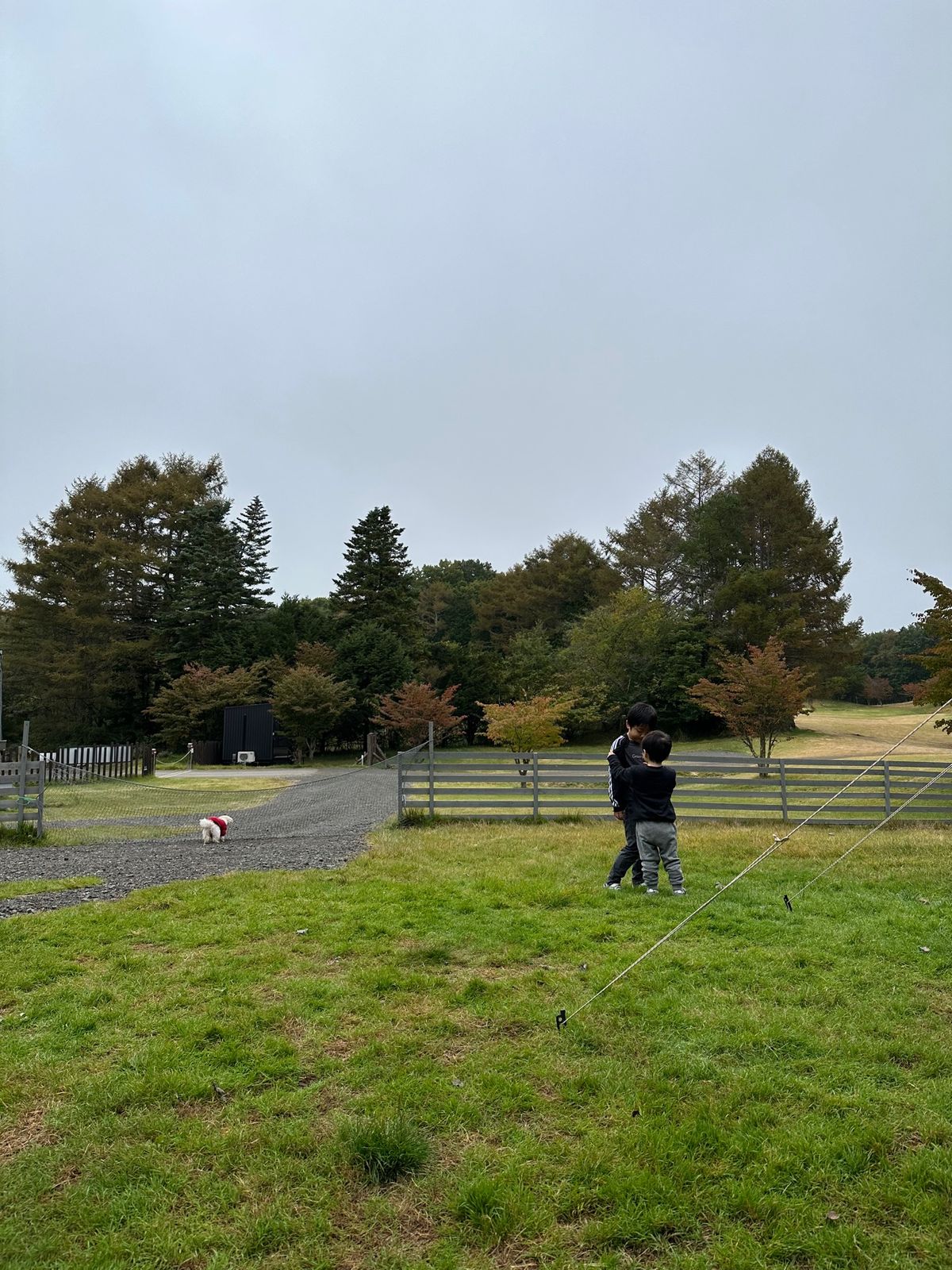 今回借りたサイトはドッグランリゾートサイトL

もともとはリゾートオートド...