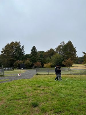 今回借りたサイトはドッグランリゾートサイトL

もともとはリゾートオートド...