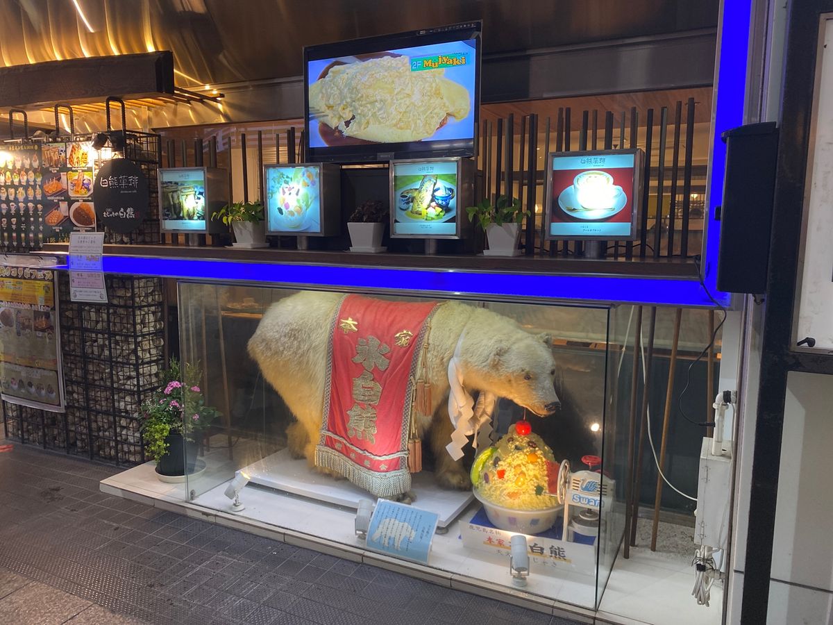 ぜひ来てみたかった、ホンマもんのしろくま！
ペロリといただいてしまいました。