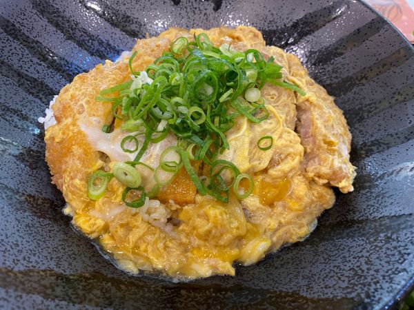 日本・鹿児島「南九州の晩秋を満喫！初鹿児島」の写真：最後に鹿児島空港でカツ丼を食べて今回の旅...