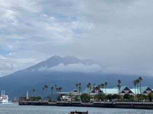 ちょっと曇りがちな桜島。
いよいよ上陸したらたくさんの猫がお出迎え。
人馴...