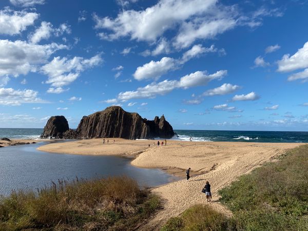 日本・京都府「てんきてんき村オートキャンプ場（ぽ」の写真