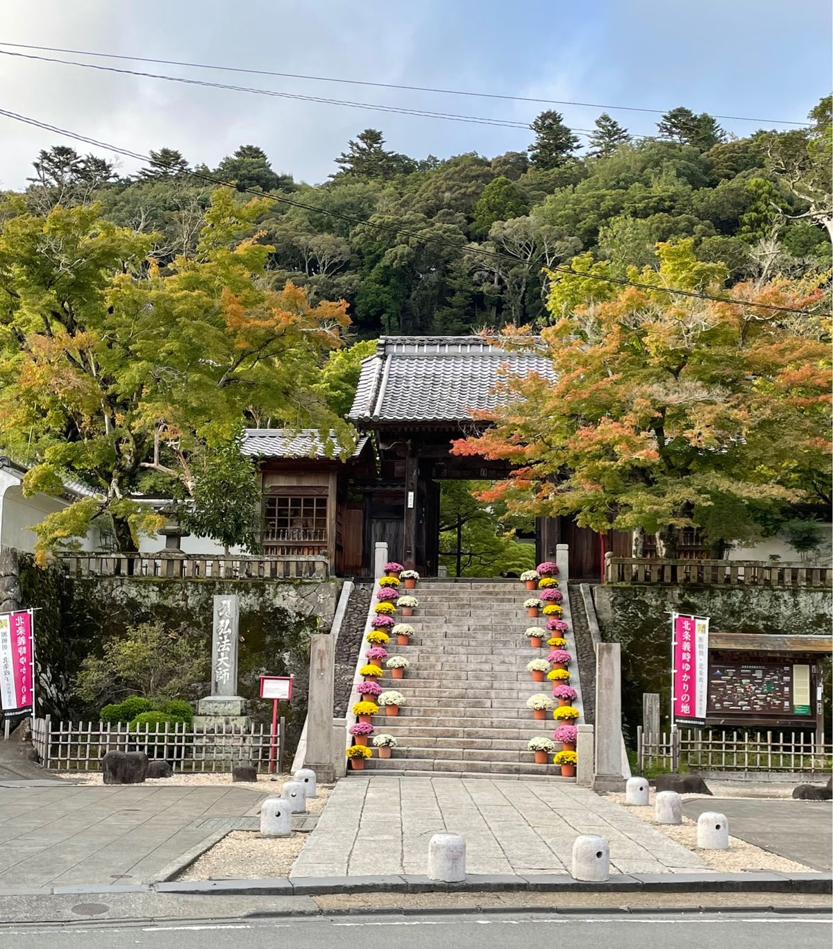 稲刈り直前の稲の黄色が綺麗だった。
三島駅で伊豆箱根鉄道に乗り換えて終点の...