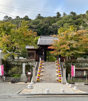 稲刈り直前の稲の黄色が綺麗だった。
三島駅で伊豆箱根鉄道に乗り換えて終点の...