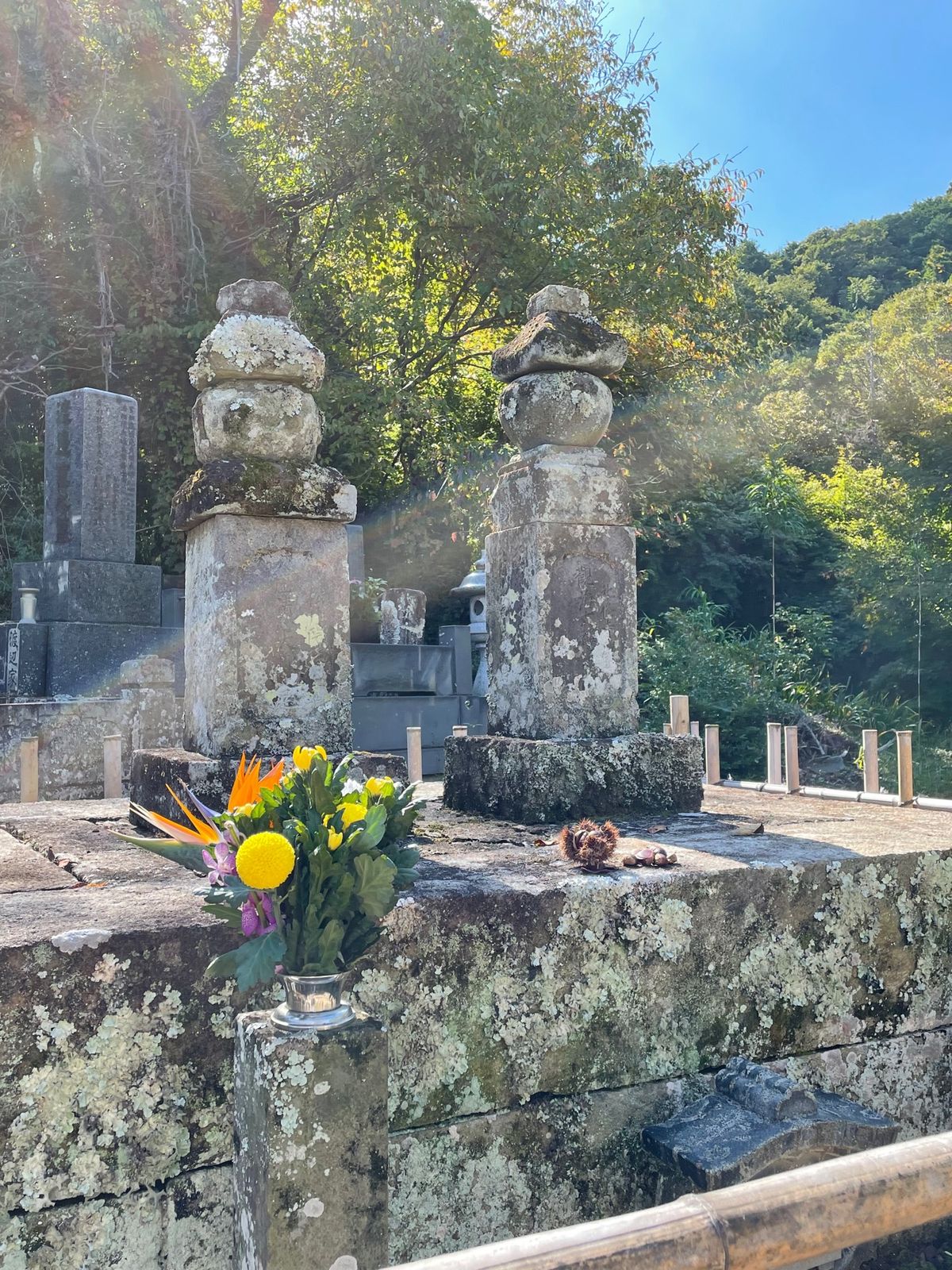 伊豆長岡、韮山周辺はレンタサイクルで。
北条寺には北条義時夫妻のお墓がある...