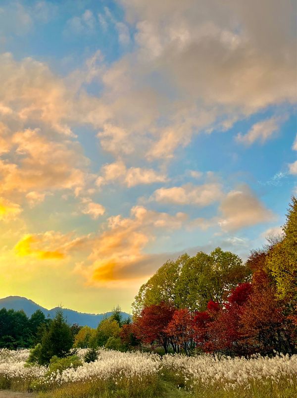 日本・福島県「家族旅行　裏磐梯」の写真