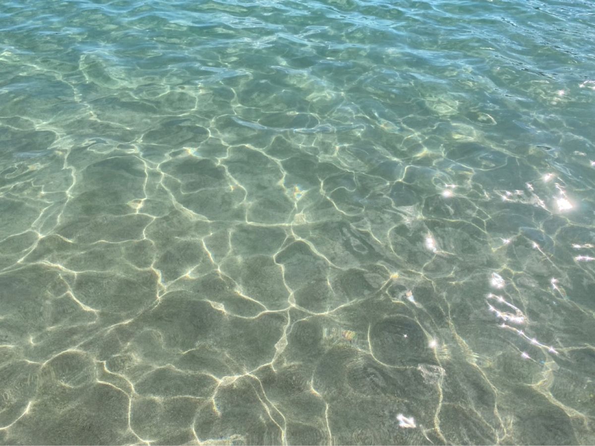 綺麗な海でした。