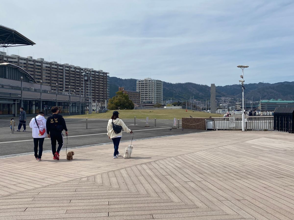 琵琶湖。大きいなぁ〜