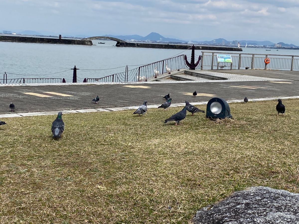 琵琶湖。大きいなぁ〜
