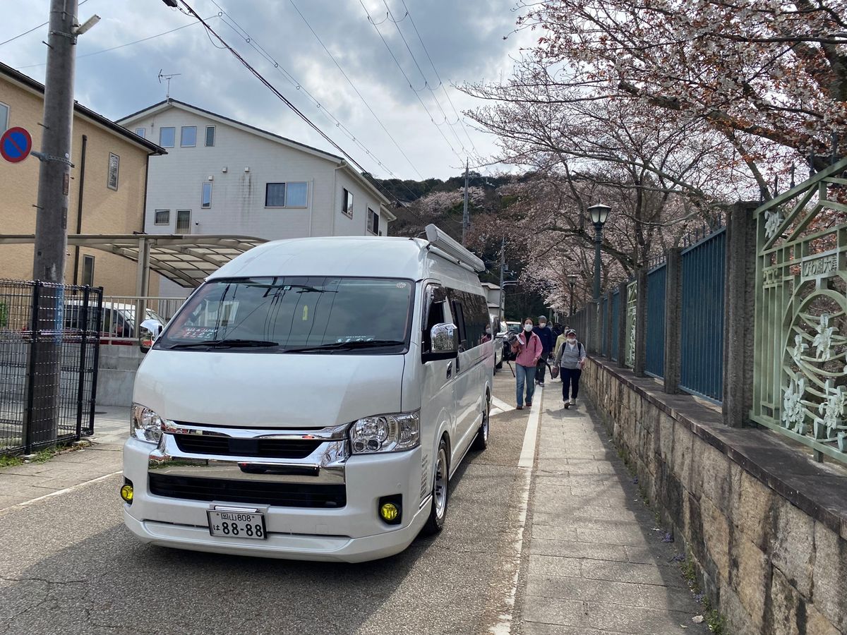 琵琶湖疏水、渋滞でしたが綺麗だった