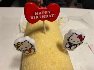 ノラ猫さん可愛かった。
サプライズの誕生日ケーキ嬉しかった