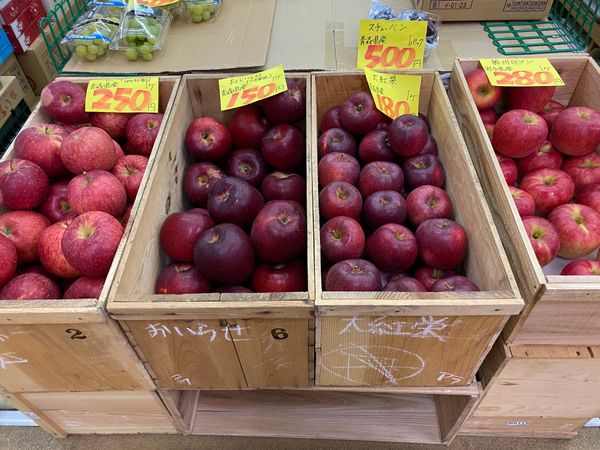 日本・青森県「仙台・青森　2022.10」の写真