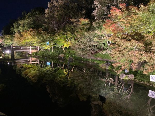 日本・三重県「三重旅行」の写真：菜花の里
