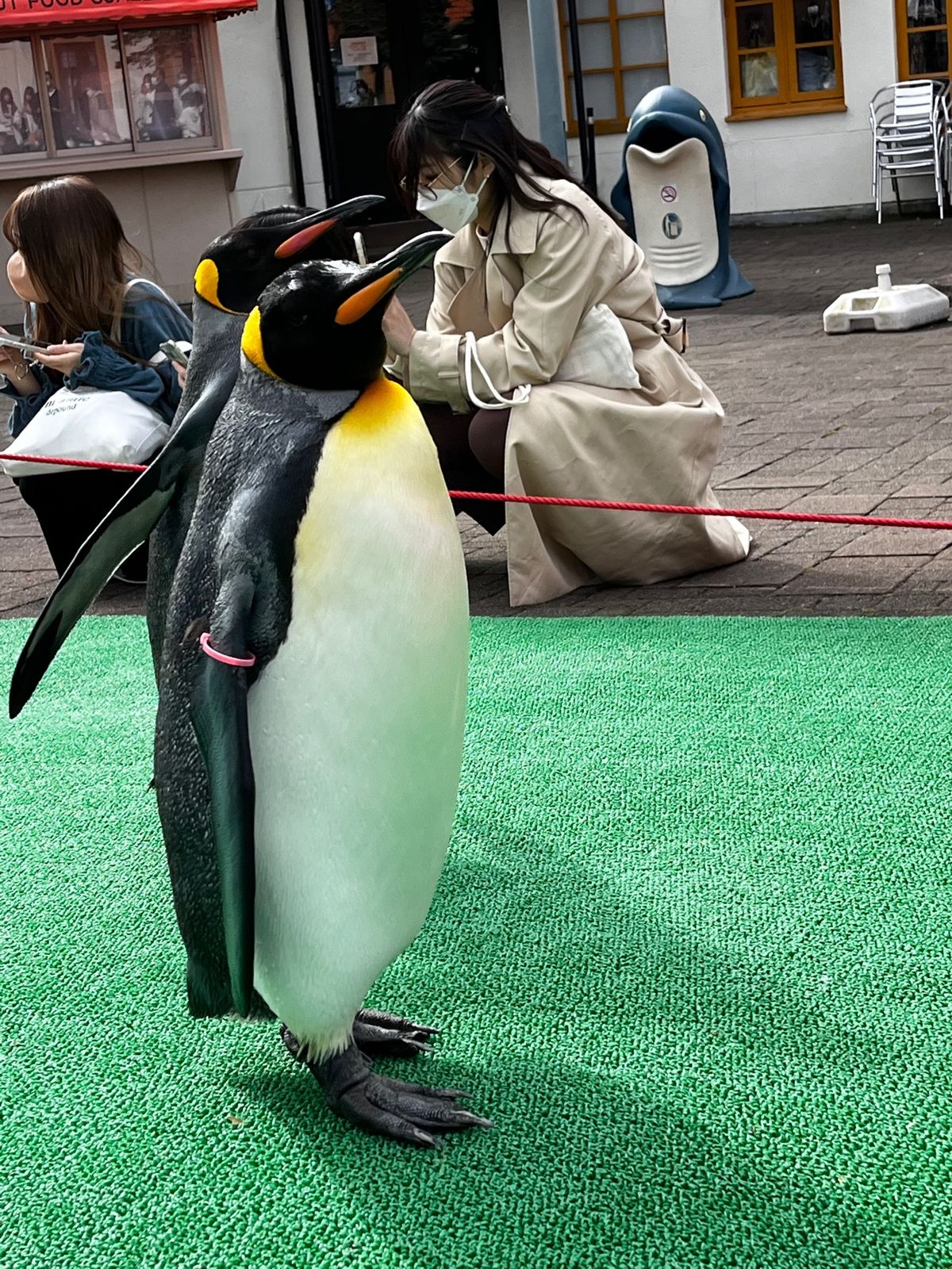 登別マリンパークニクス