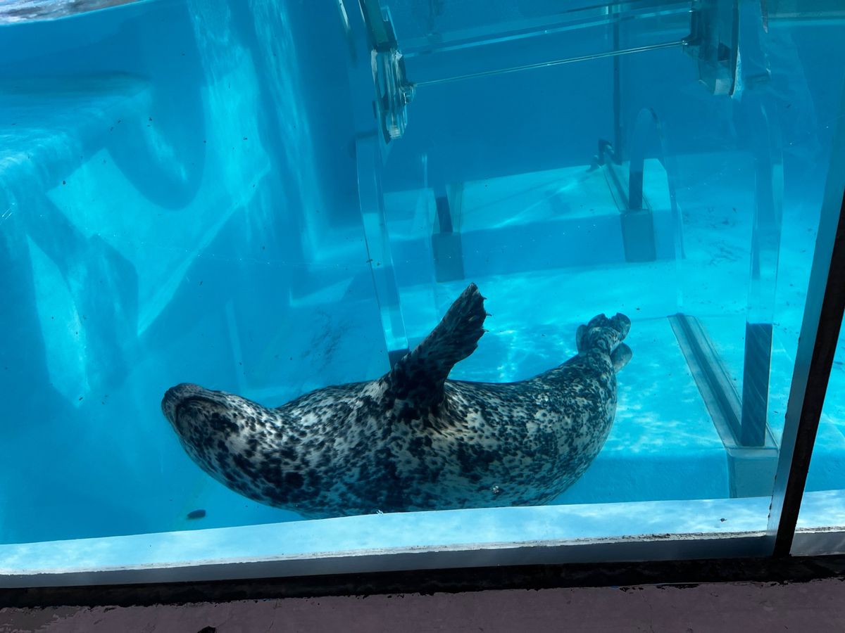 登別マリンパークニクス