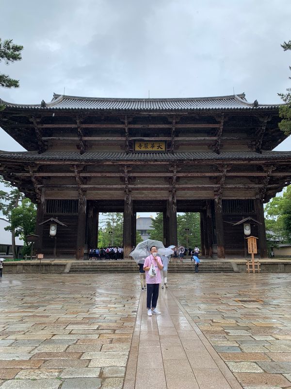 日本・奈良県「奈良の大仏見たい」の写真