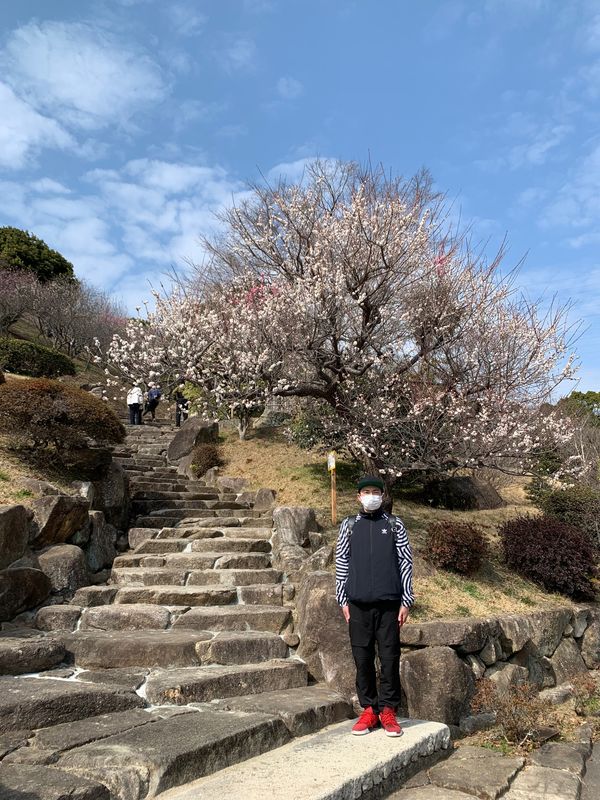 日本・山口県「梅見ツーリング」の写真