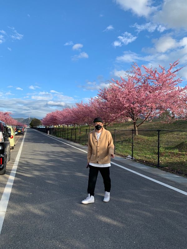 日本・岡山県「桜見に」の写真