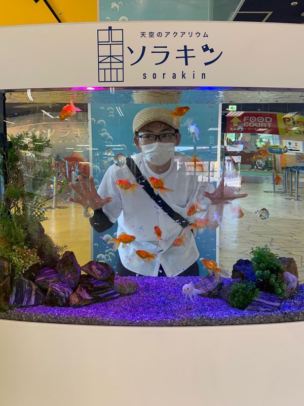 日本・香川県「夏のバケーション」の写真