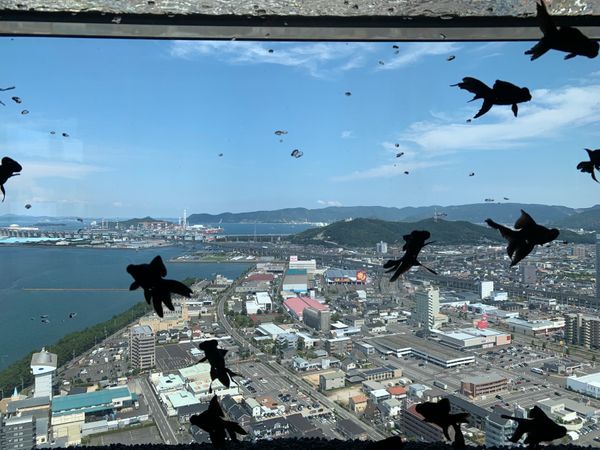 日本・香川県「夏のバケーション」の写真