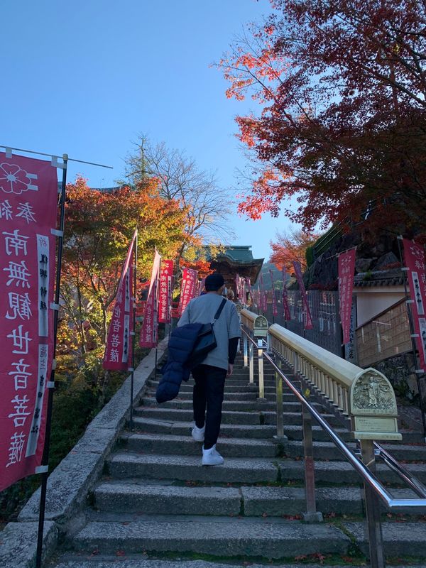 日本・宮島「紅葉の宮島」の写真