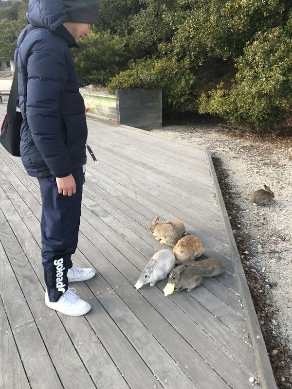 日本・大久野島「うさぎ島」の写真