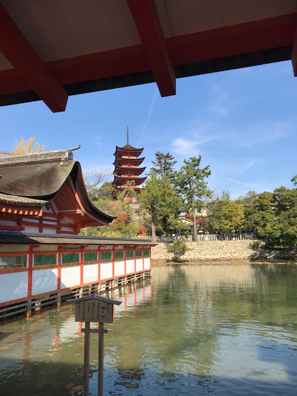 日本・宮島「CHANEL祭」の写真