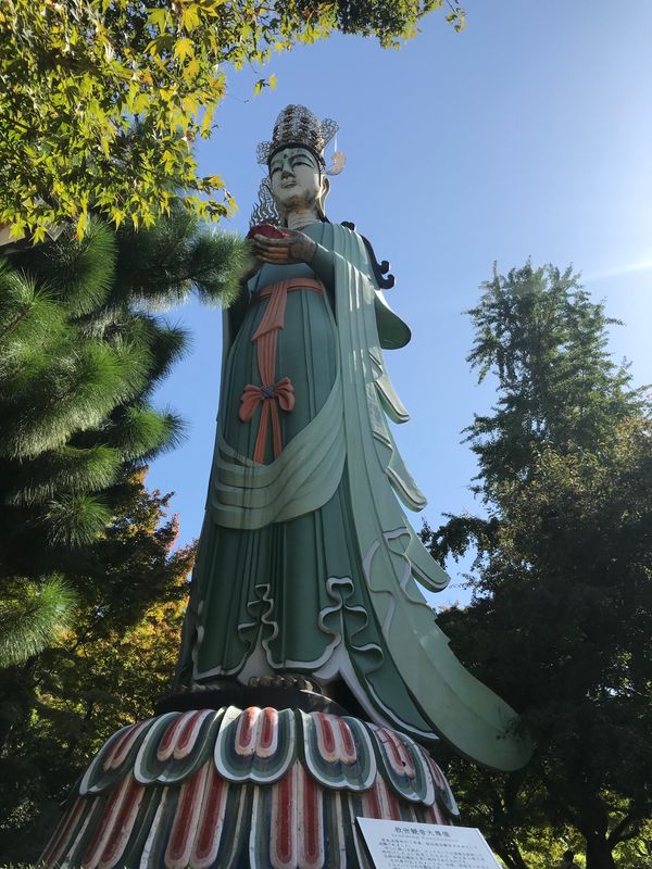 日本・因島「しまなみ海道」の写真