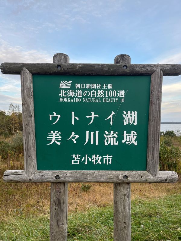 日本・北海道「Trip to Hokkaido」の写真：苫小牧市のウトナイ湖へ！！
野生の白鳥が...