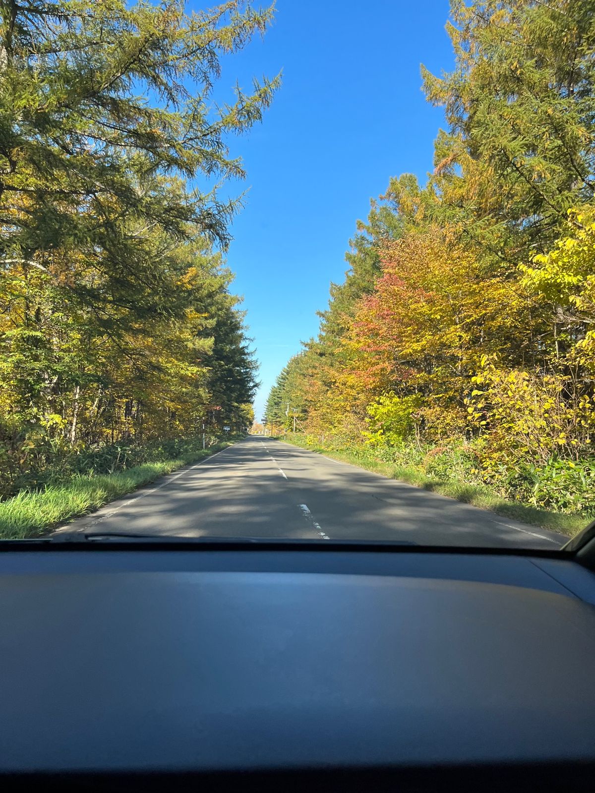 北海道の朝×紅葉🍁
一足お先に行動を先取りっ
空気が綺麗なんだな〜