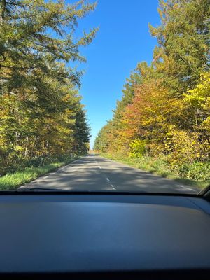 北海道の朝×紅葉🍁
一足お先に行動を先取りっ
空気が綺麗なんだな〜