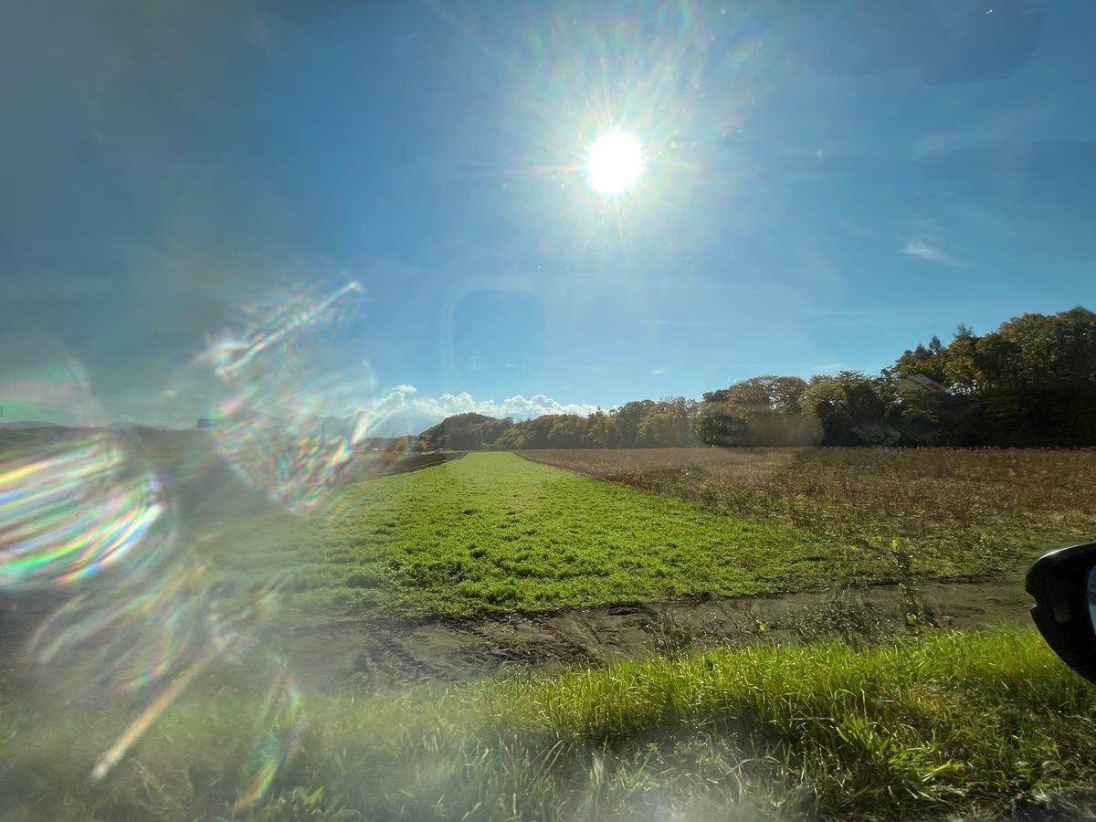 北海道の朝×紅葉🍁
一足お先に行動を先取りっ
空気が綺麗なんだな〜