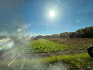 北海道の朝×紅葉🍁
一足お先に行動を先取りっ
空気が綺麗なんだな〜