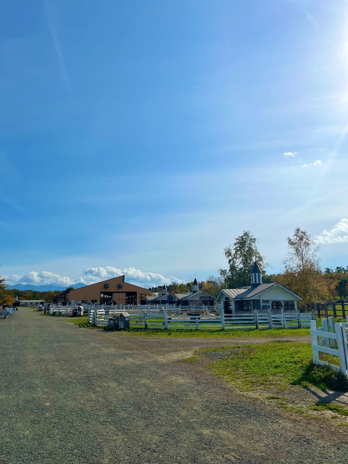 牧場👩‍🌾
動物達が放し飼いで飼われてた😆
ポニーの赤ちゃんも可愛かったな...