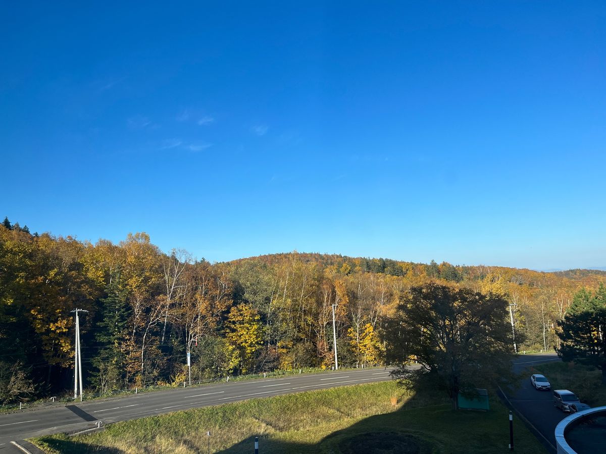北海道の朝×紅葉🍁
一足お先に行動を先取りっ
空気が綺麗なんだな〜