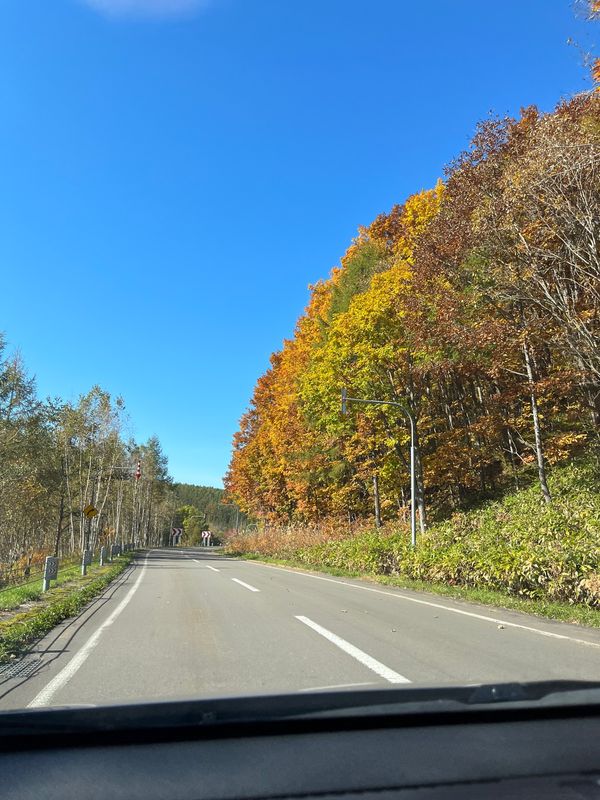 日本・北海道「Trip to Hokkaido」の写真：北海道の朝×紅葉🍁
一足お先に行動を先取...