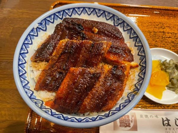 日本・三重県「三重県津散歩」の写真：はし家のうなぎ、カルネロカステのカステラ...