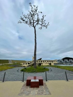 奇跡の一本松、ミッフィーカフェかまいし、世界遺産橋野高炉跡、盛岡城