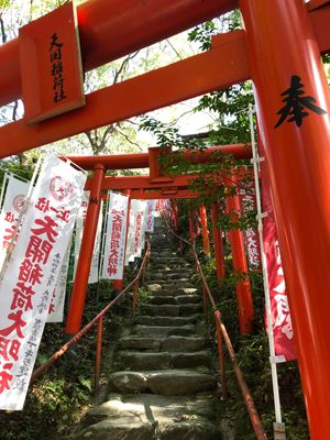 長年の憧れだった太宰府天満宮にお詣り