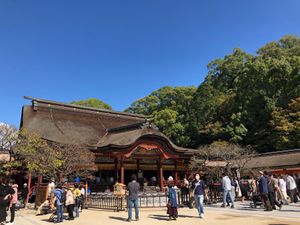 長年の憧れだった太宰府天満宮にお詣り